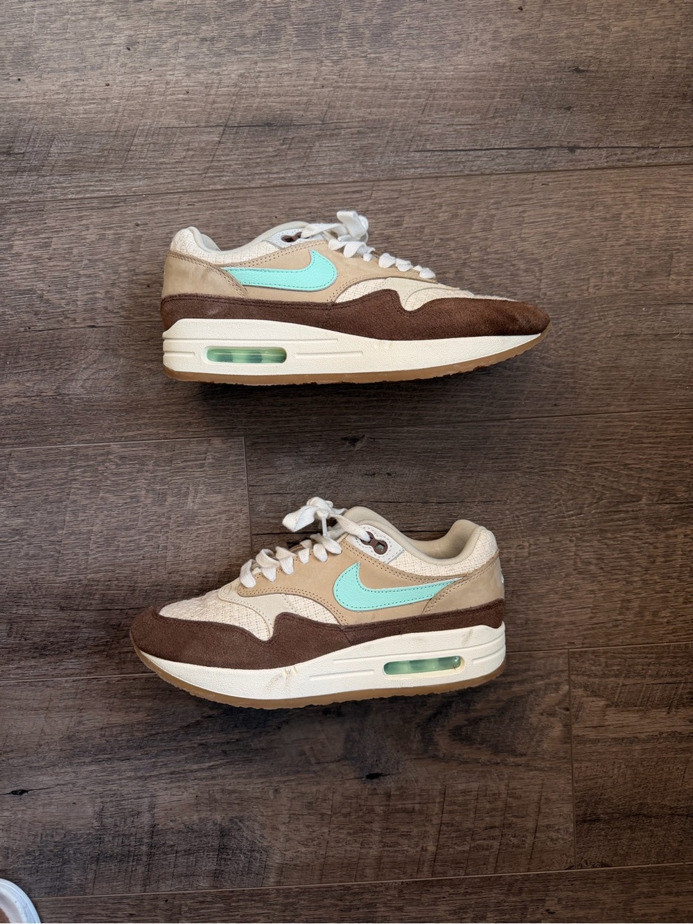 Nike Air Max 1 Shoes